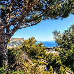 Cassisfamily , Cassis France