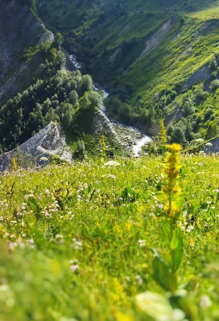 Saint-Sorlin D'Arves 4-6 Personnes Pied Des Pistes 310Km De Pistes Tous Niveaux 0*, سا سورلا دارْف